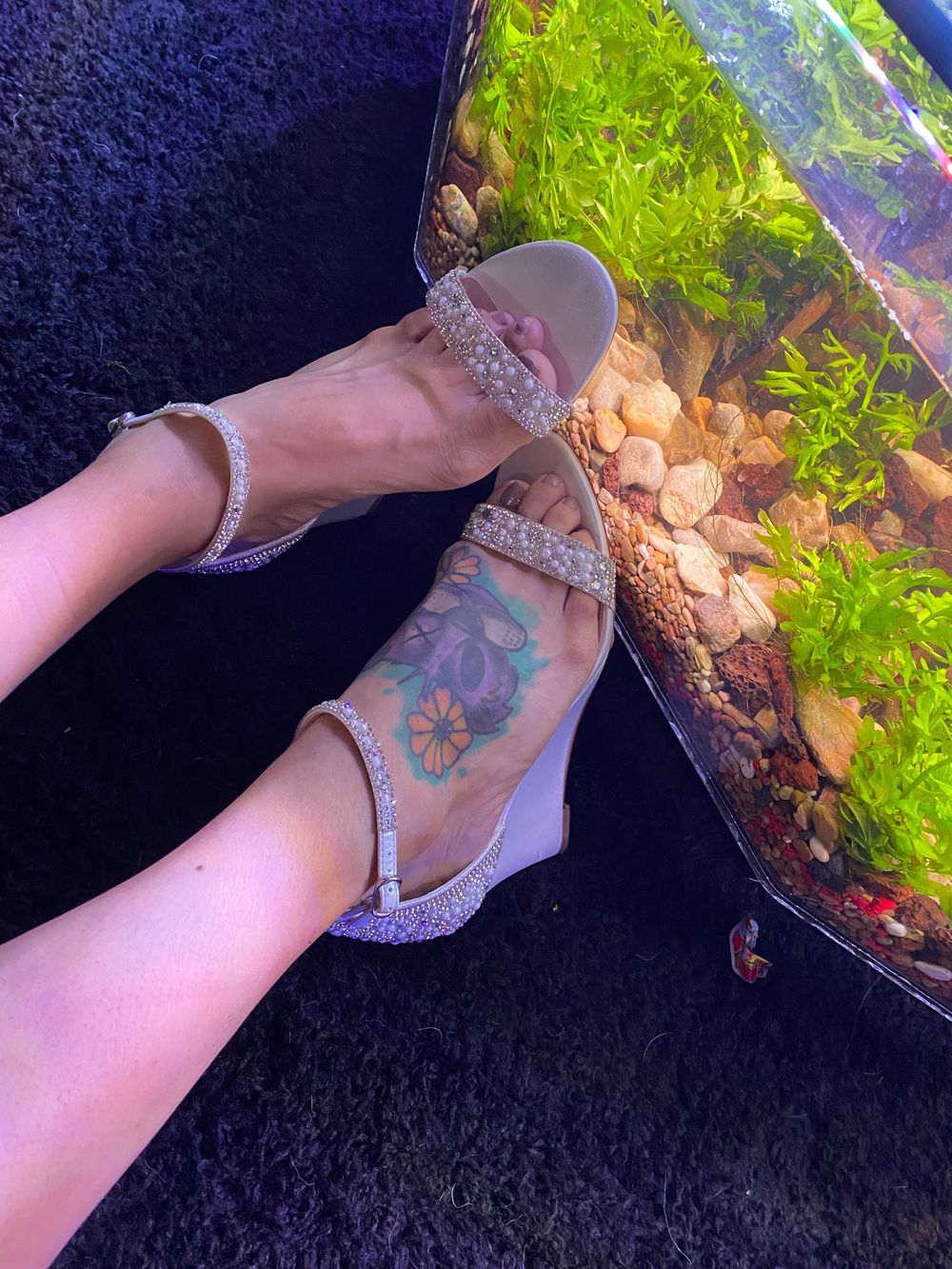 bearfoottattoo OnlyFans profile picture