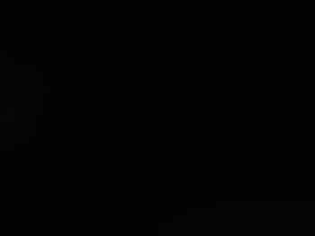 u13351158