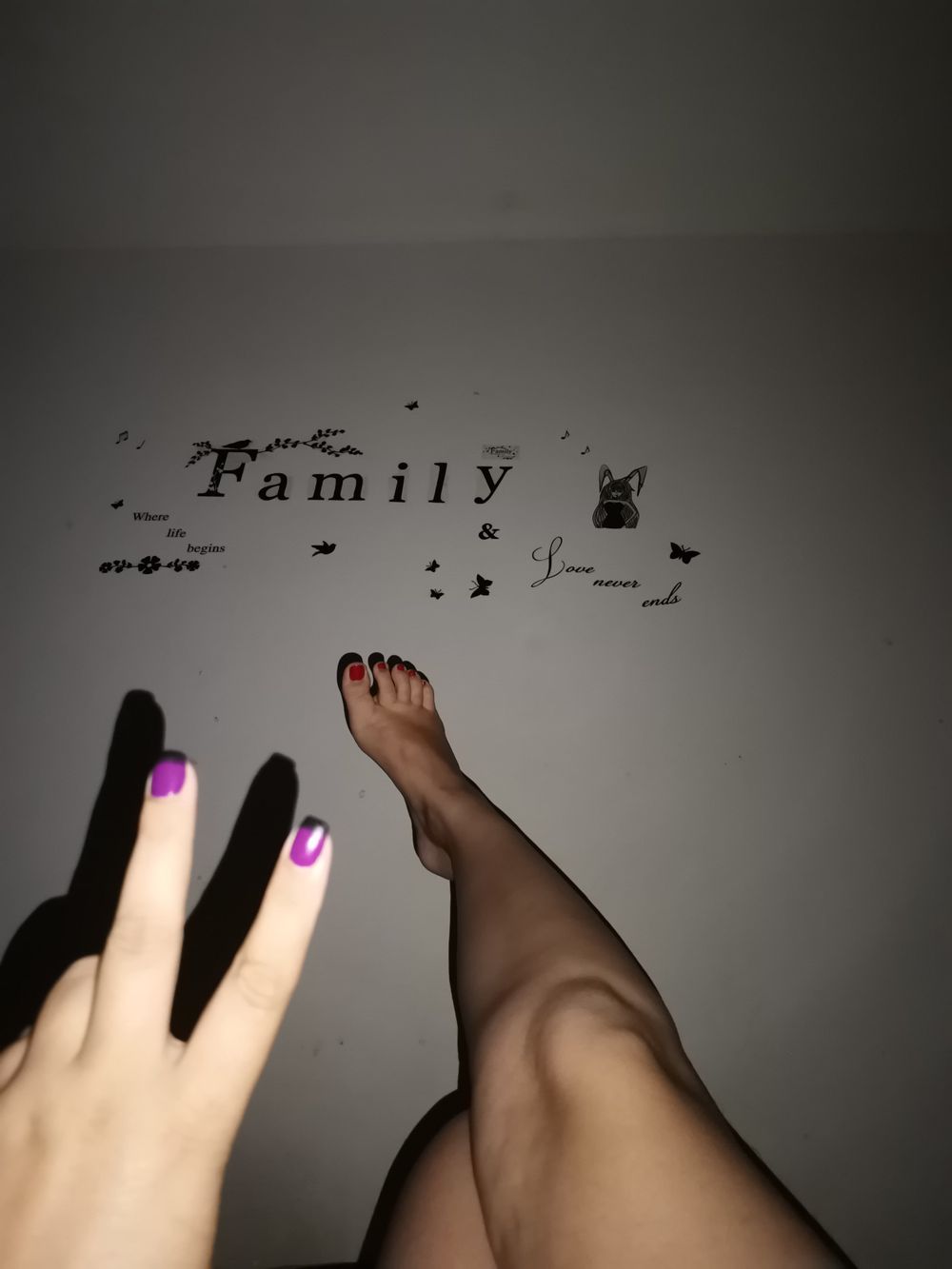 belaconea OnlyFans profile picture