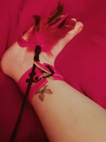 u162306631 OnlyFans picture