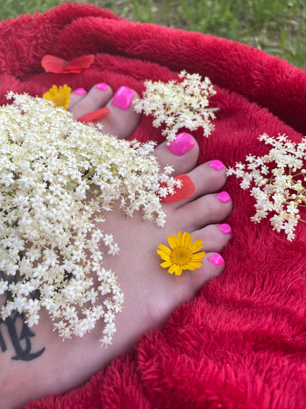 scorpioofeet OnlyFans profile picture