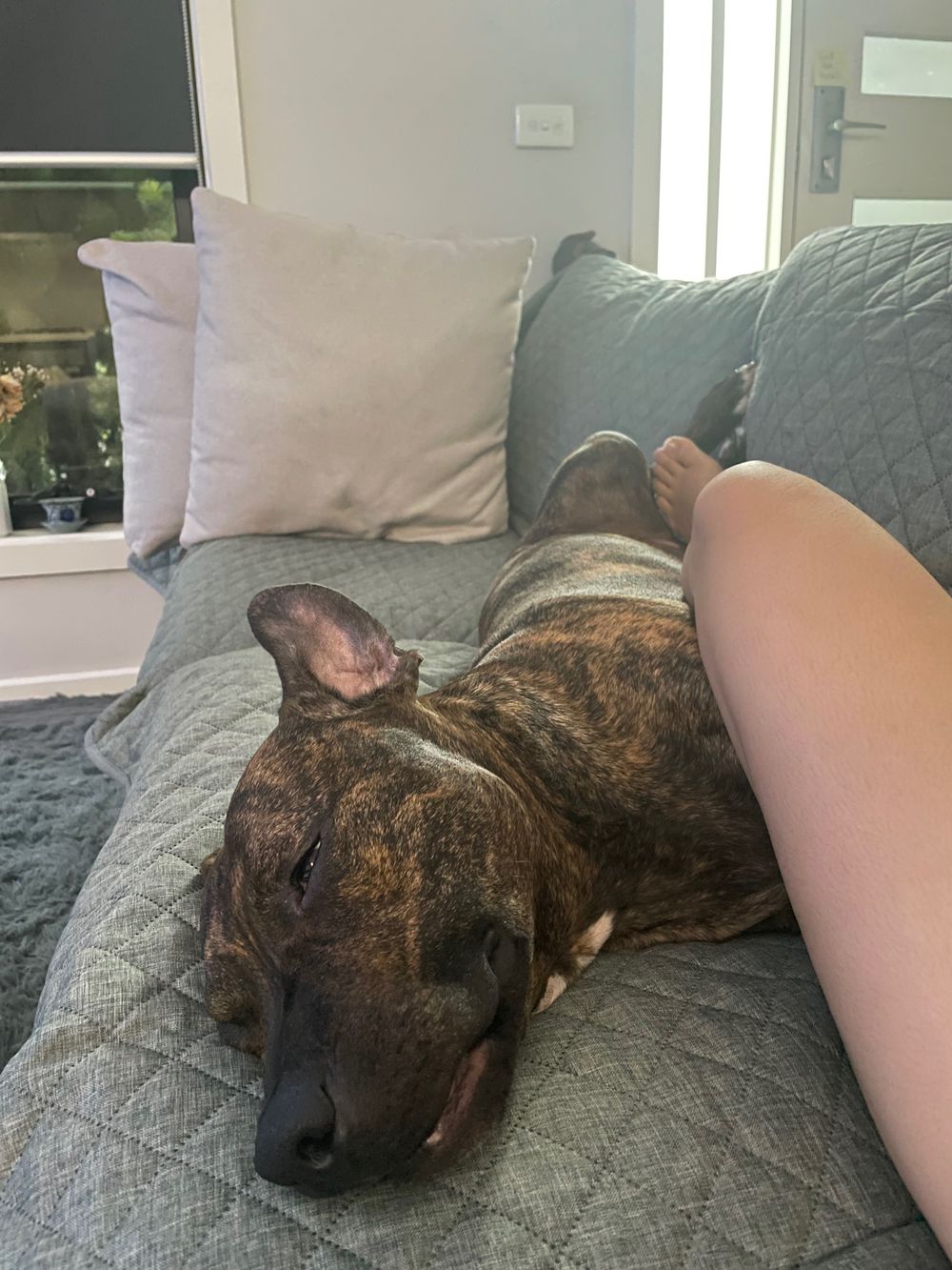 bigboytoto OnlyFans profile picture