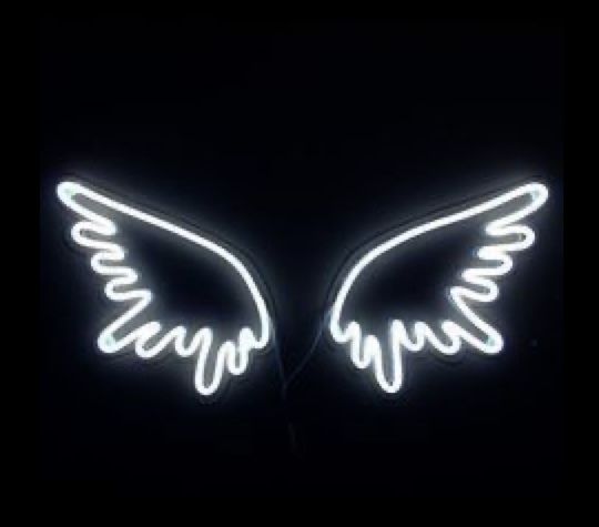 renee2bossy OnlyFans profile picture