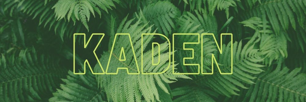 kadxxxn OnlyFans profile picture