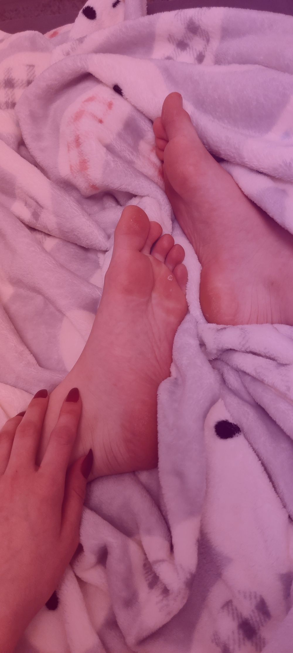 uvictoriaonly OnlyFans profile picture