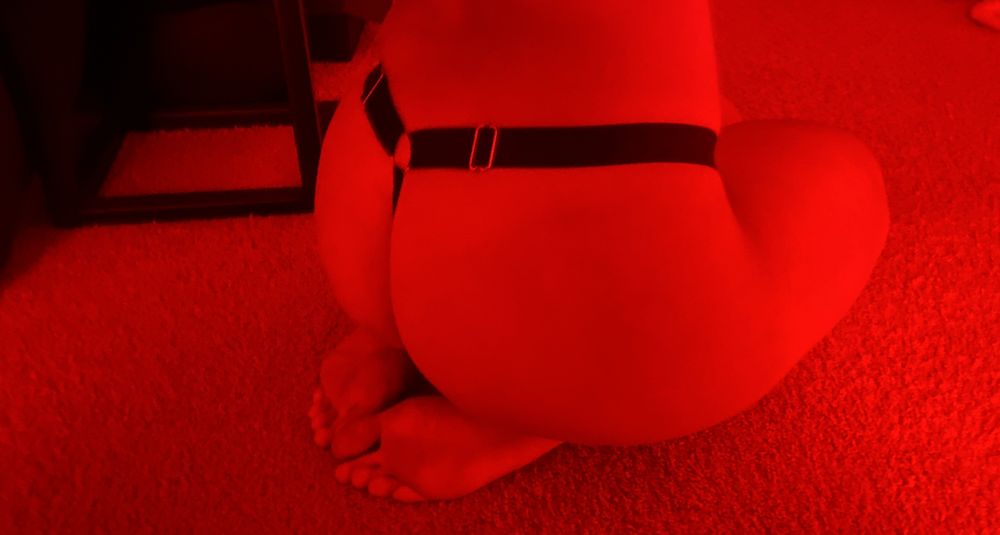 silzzz OnlyFans profile picture