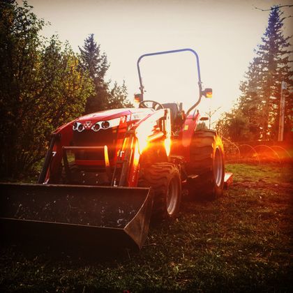 ruralrogue OnlyFans picture