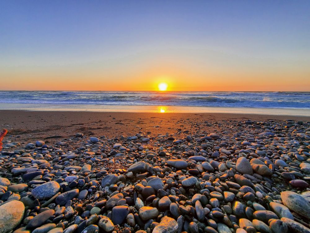 agave_sunrise OnlyFans profile picture