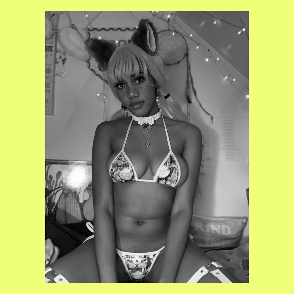 kitten_royale OnlyFans profile picture