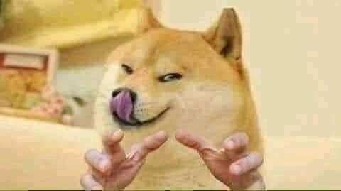 perkoholics OnlyFans profile picture