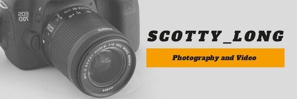scotty_long OnlyFans profile picture
