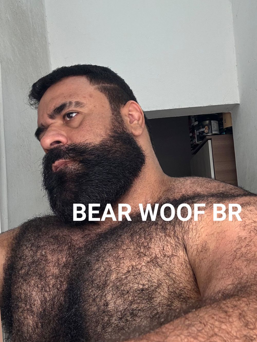 bearwoofbr OnlyFans profile picture