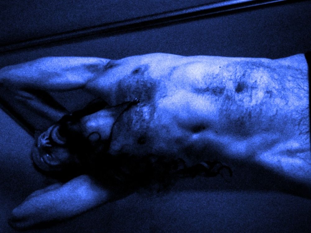 zaphyro7 OnlyFans profile picture