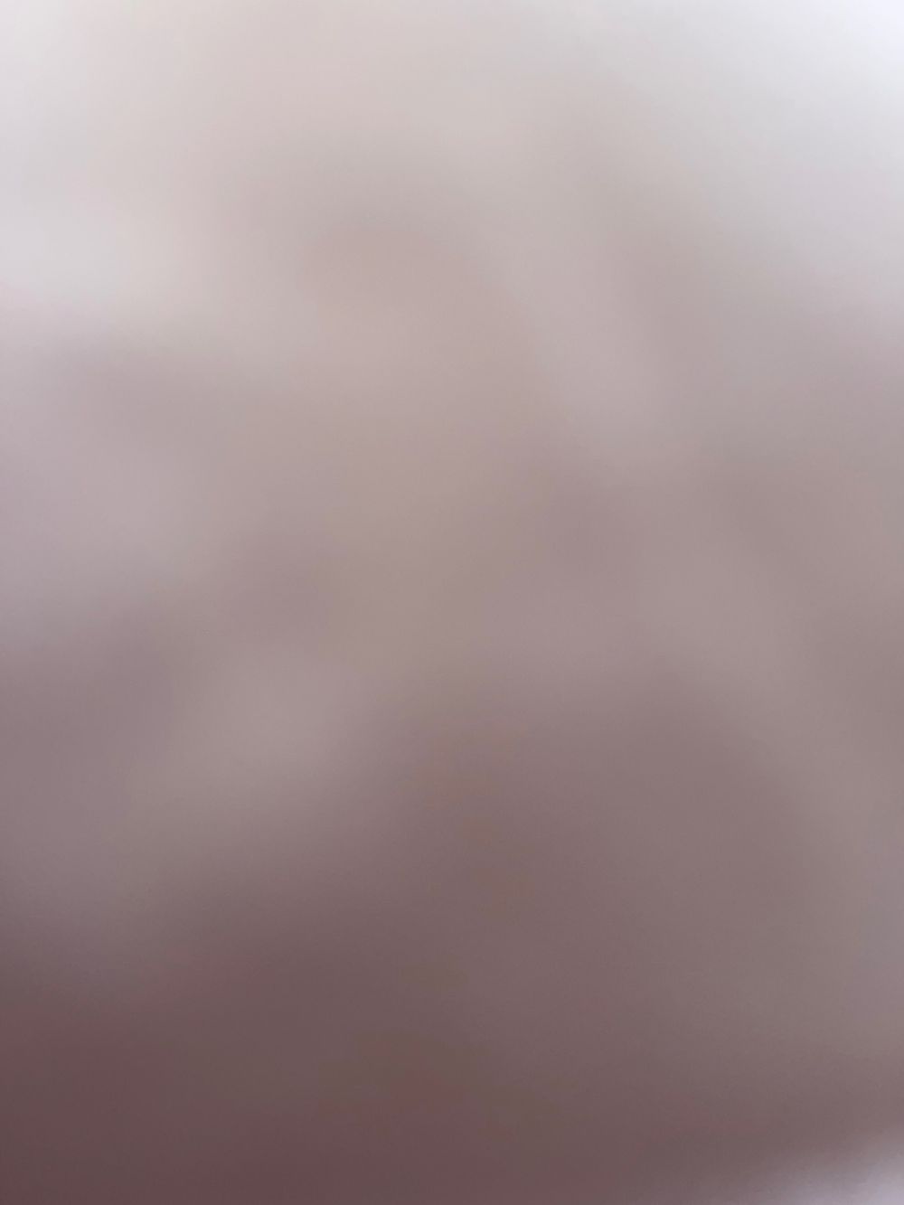 sofiareyuncensored OnlyFans profile picture