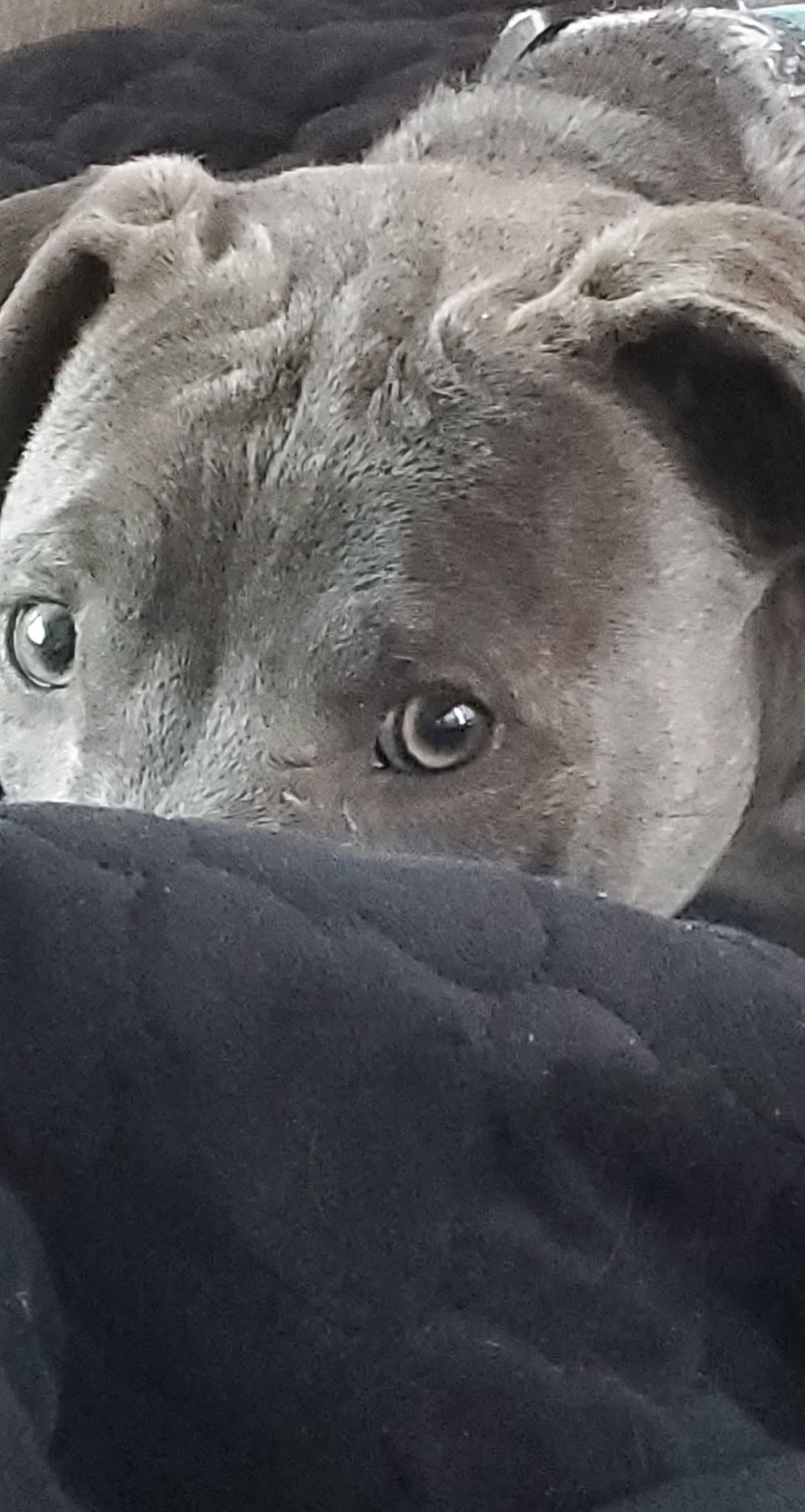 littleginger76 OnlyFans profile picture