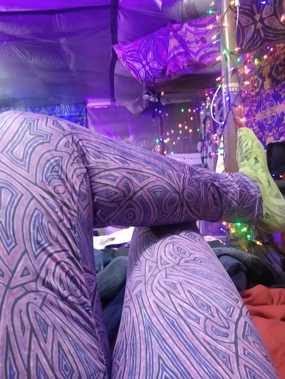 sharkyc OnlyFans profile picture