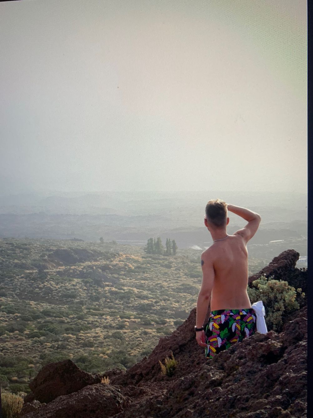 cocknocker OnlyFans profile picture