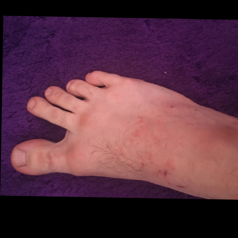 bigmanlyfeetvip OnlyFans profile picture