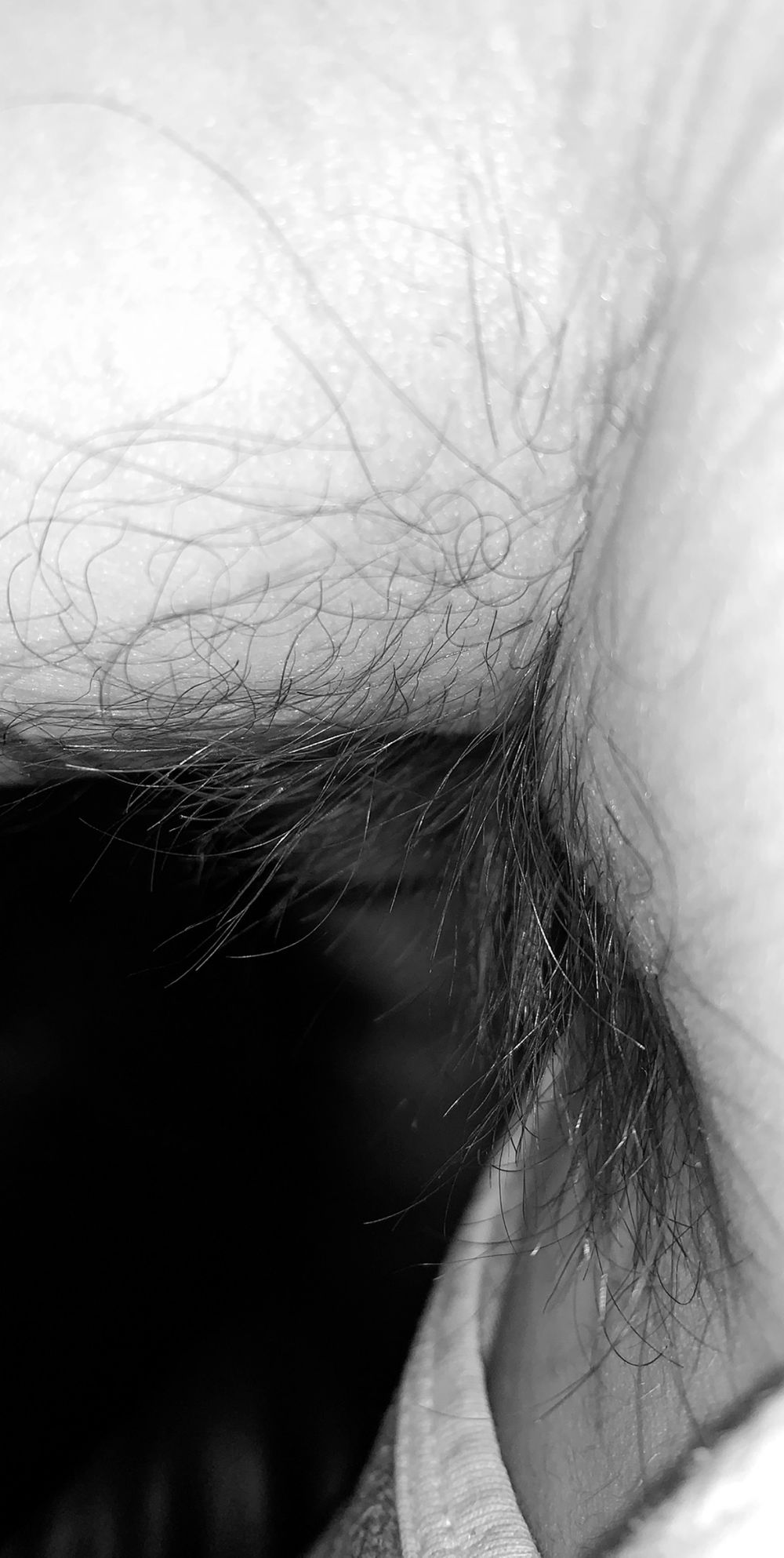 shirtlessarmpits OnlyFans profile picture