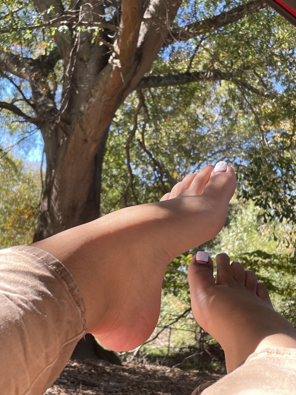 madammysteryyy OnlyFans profile picture