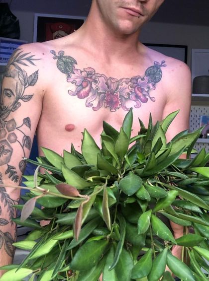 plantswithoutpants_ross OnlyFans picture