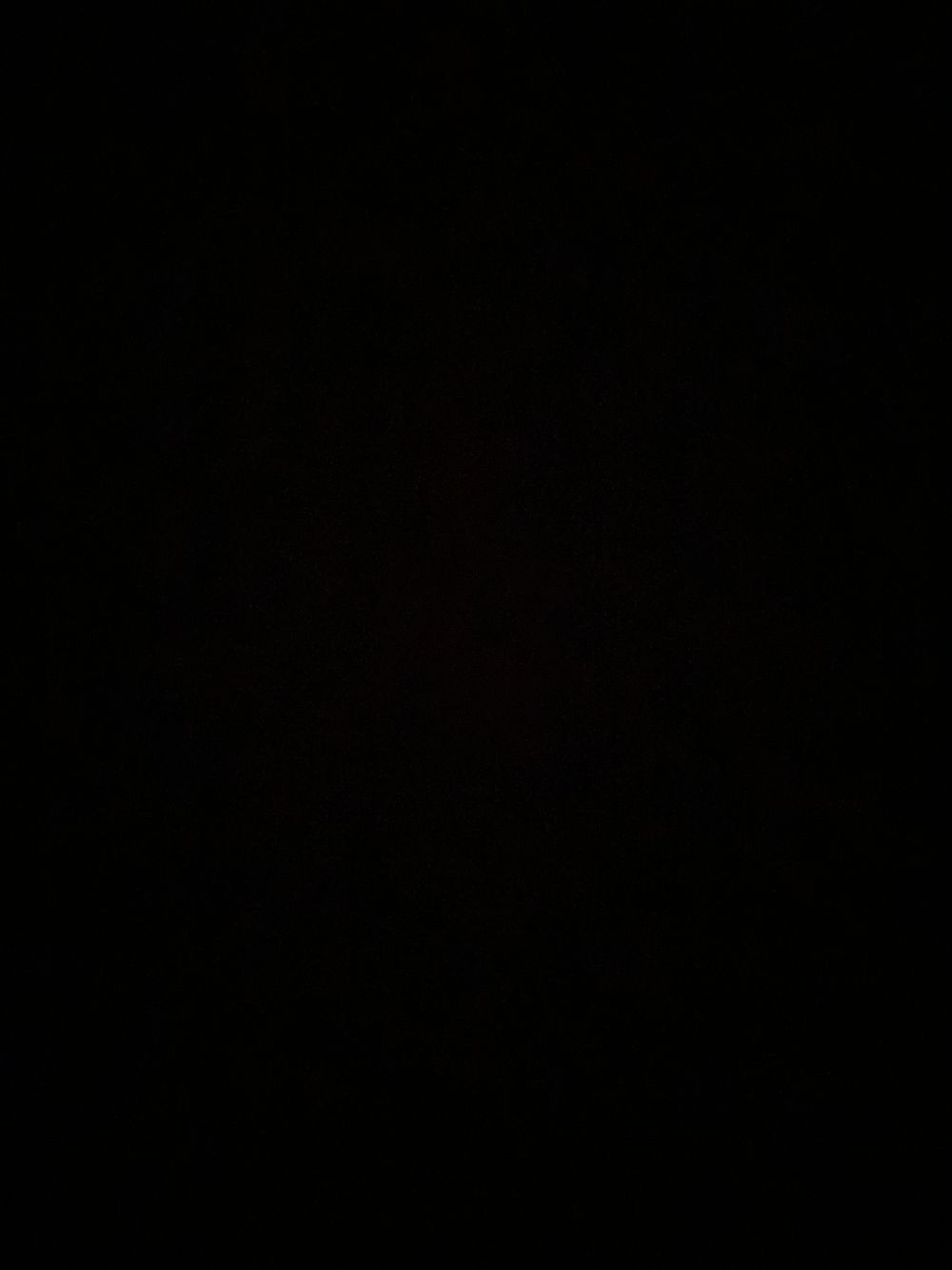 willwolf1999 OnlyFans profile picture