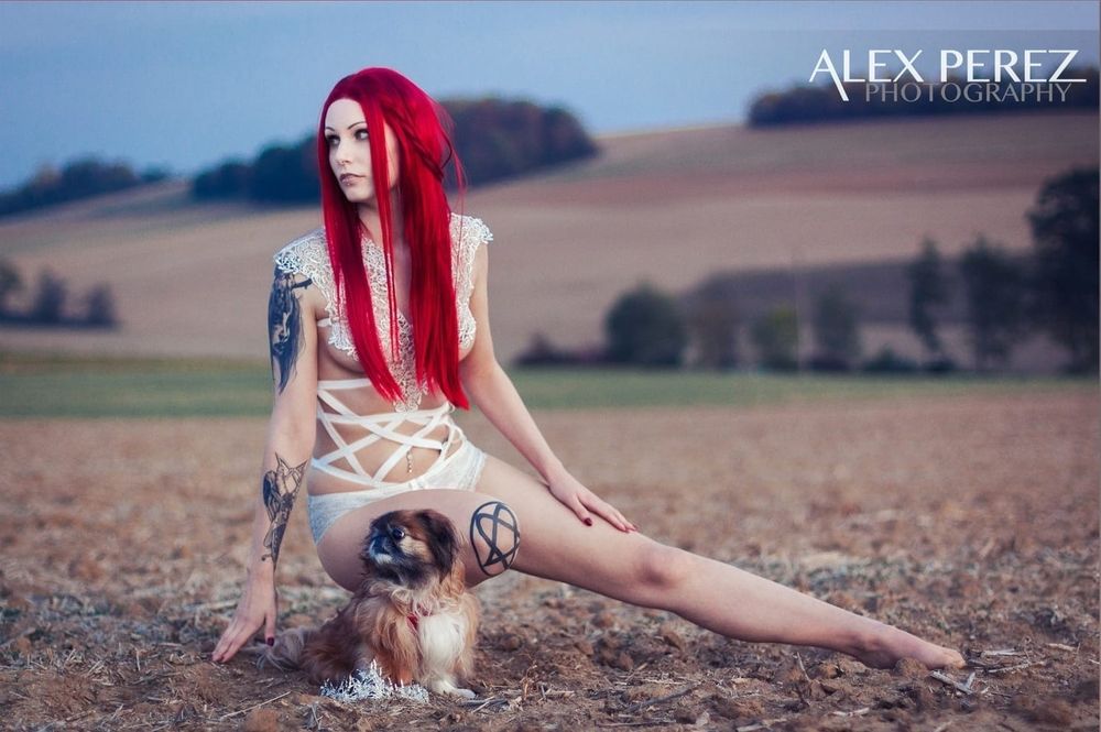 ladyelvendoll OnlyFans profile picture