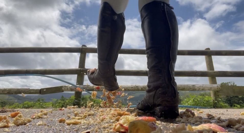 horsegirlshania OnlyFans profile picture