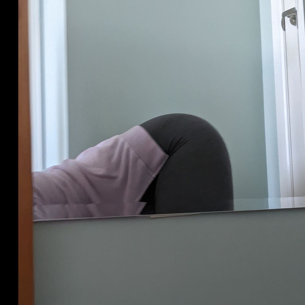 stegosera OnlyFans profile picture