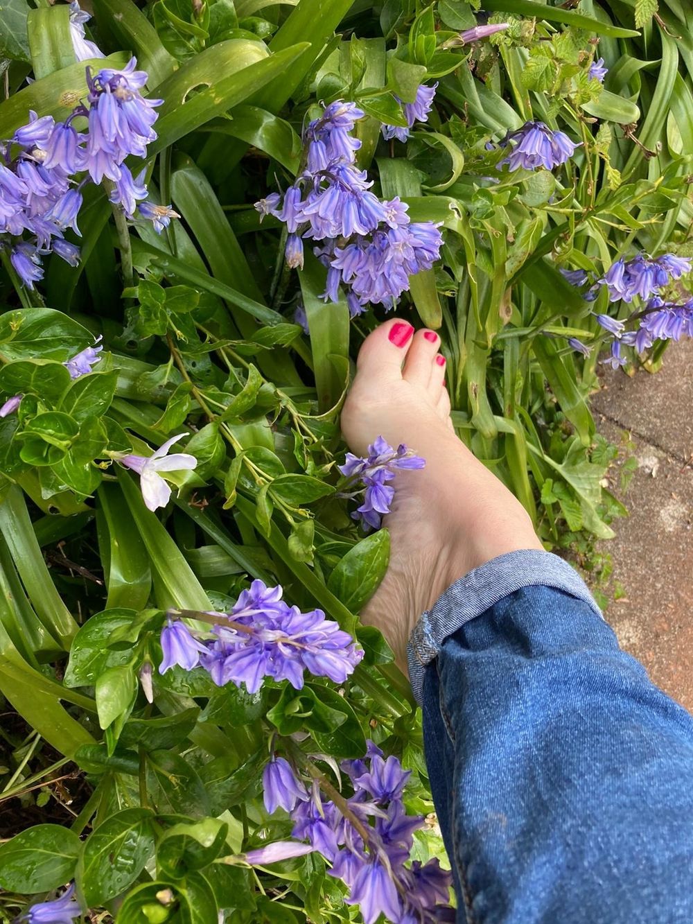 u242342574sweetfeet007 OnlyFans profile picture