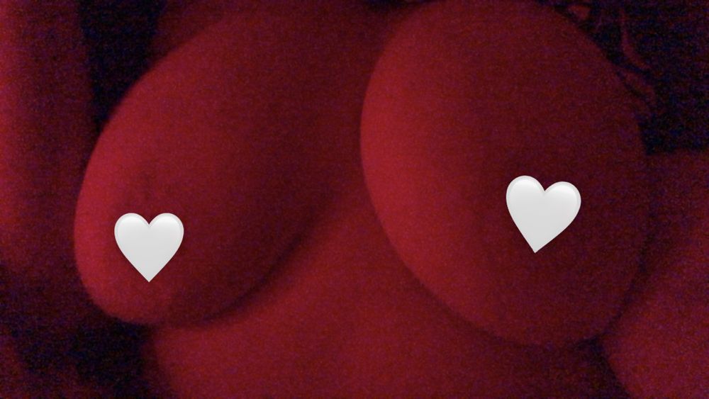 paleragdoll OnlyFans profile picture
