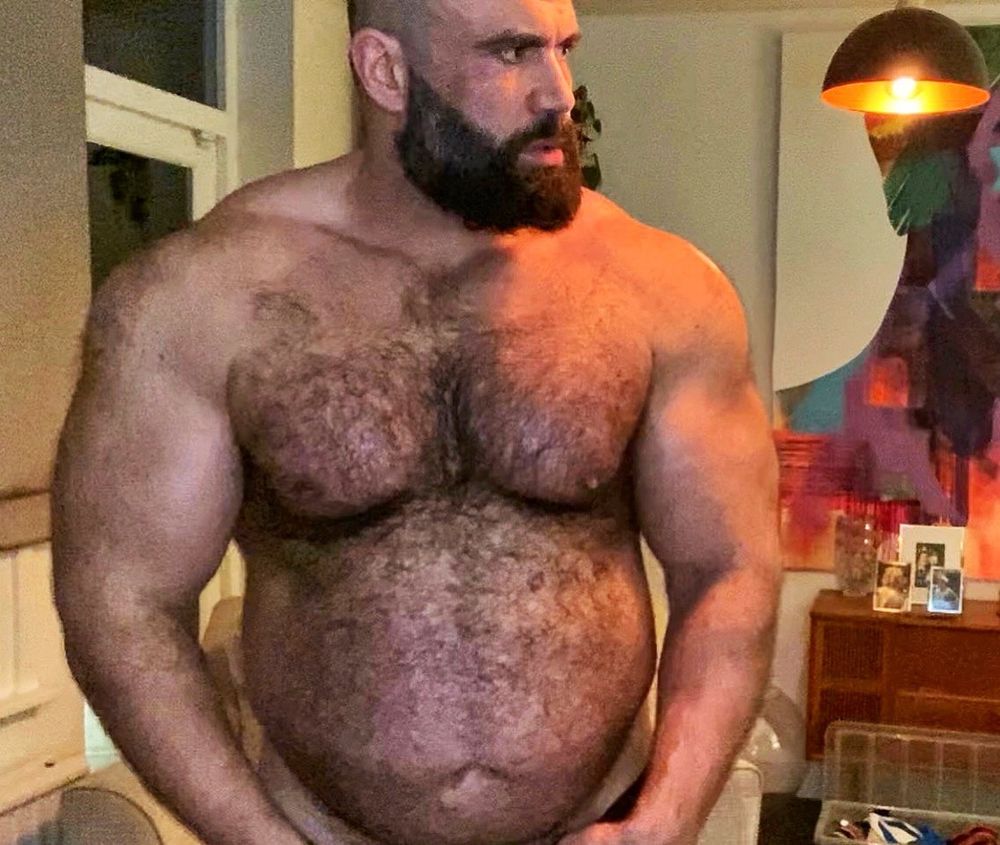 metamorphodisiac OnlyFans profile picture