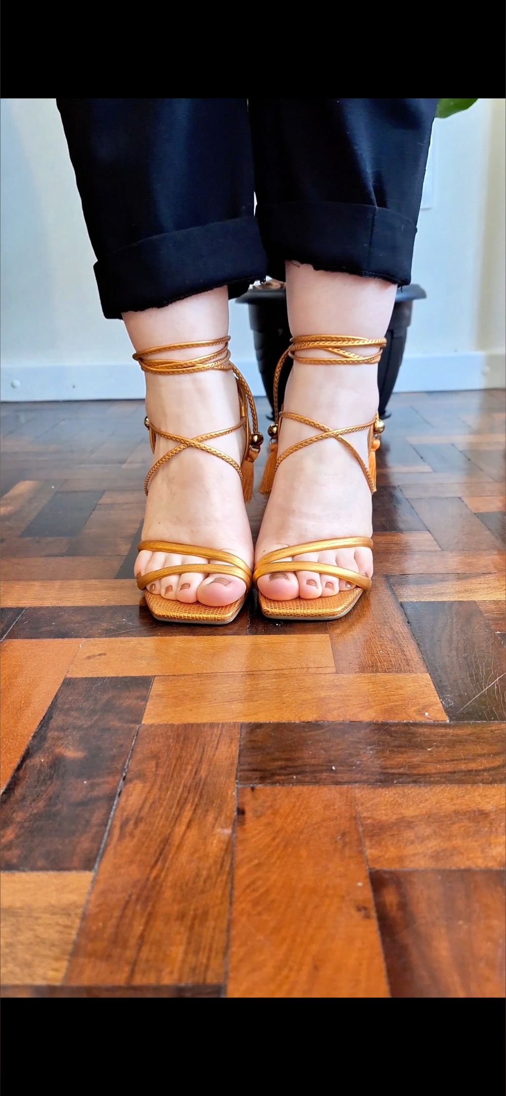melissamillertoes OnlyFans profile picture