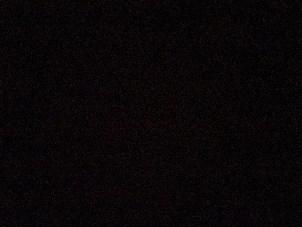 bloomc31 OnlyFans profile picture