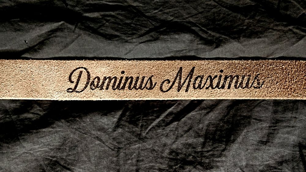 dominus_maximus OnlyFans profile picture