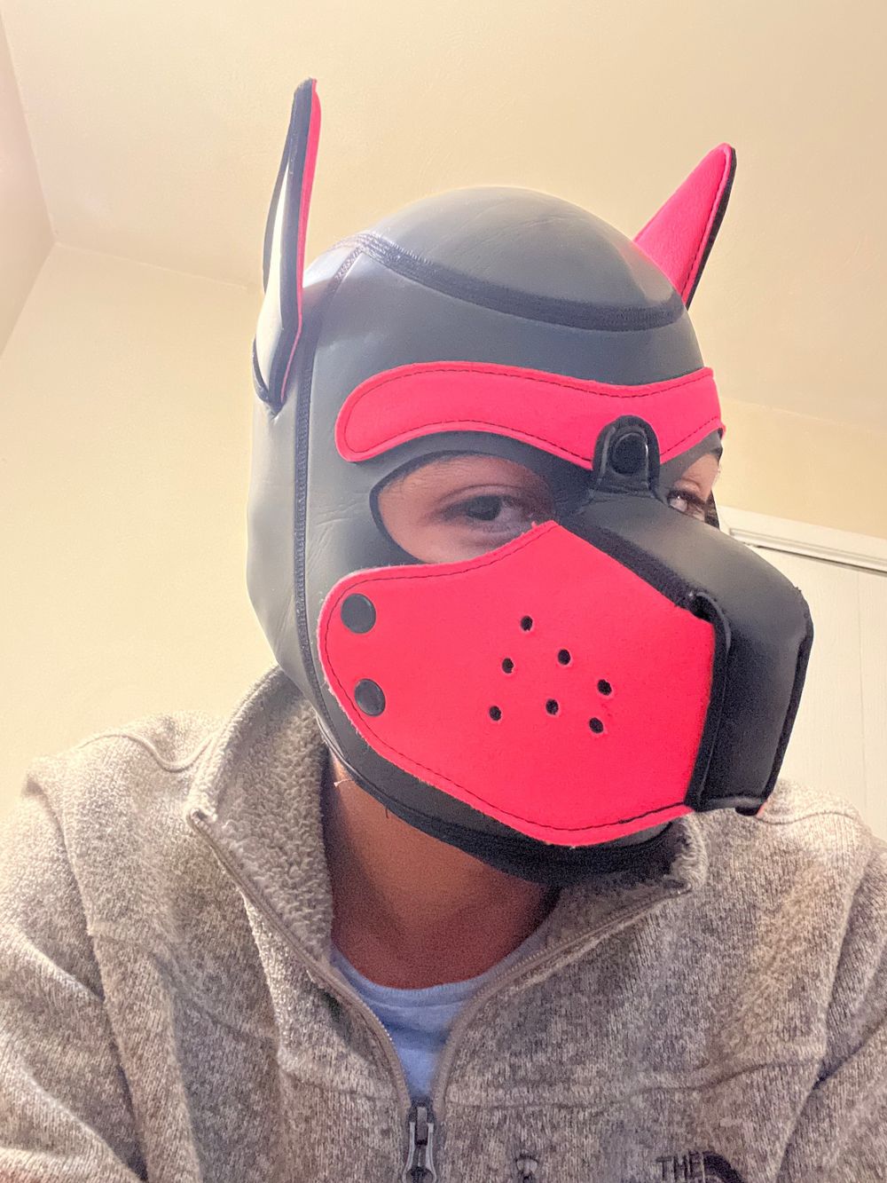 foxifox91 OnlyFans profile picture
