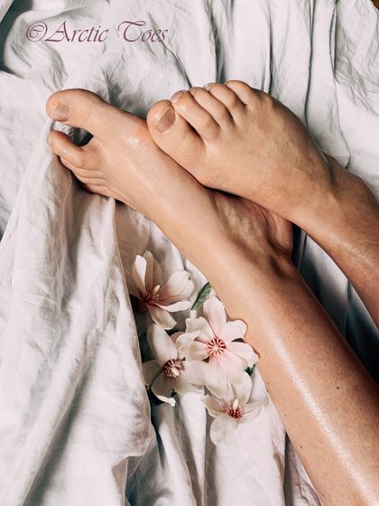 arctictoes OnlyFans picture