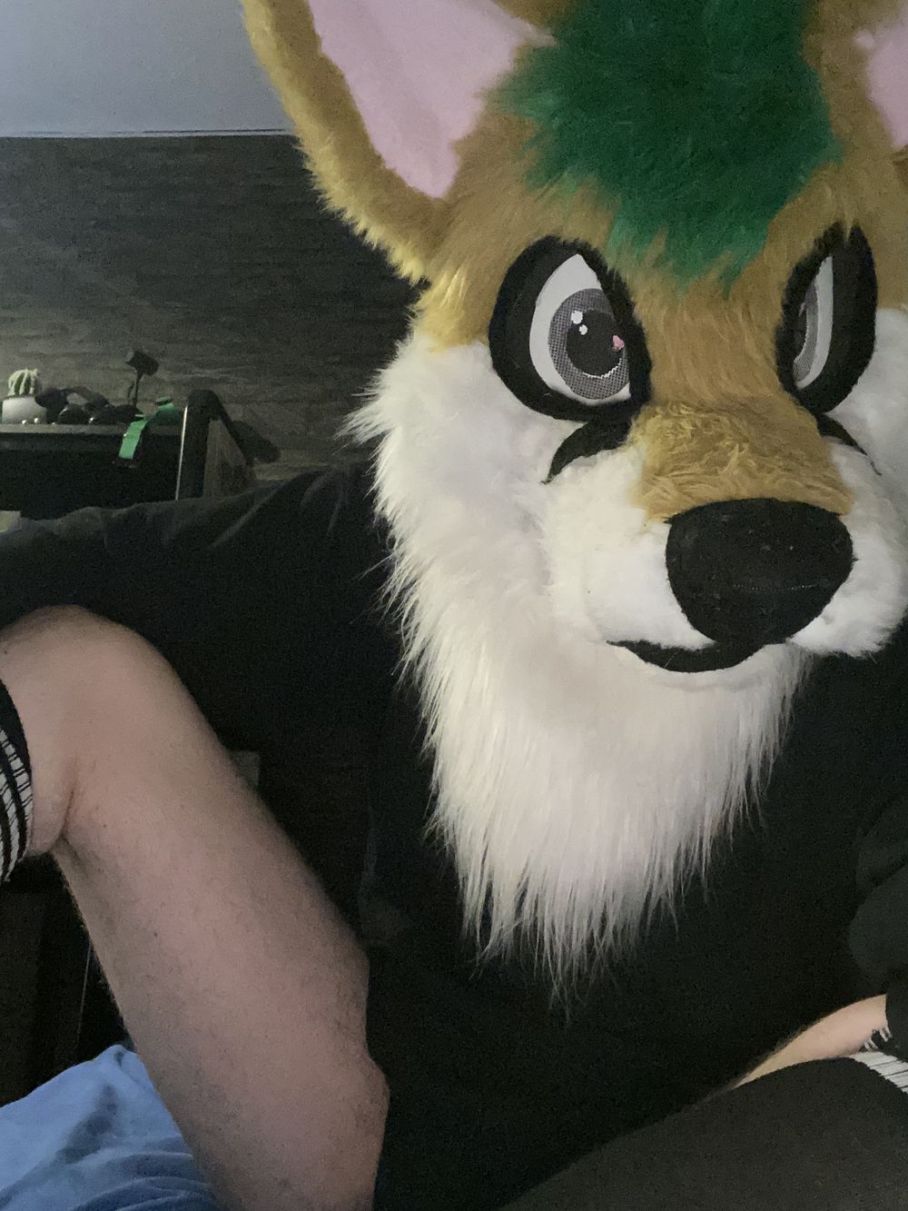 uwu_cometx OnlyFans profile picture