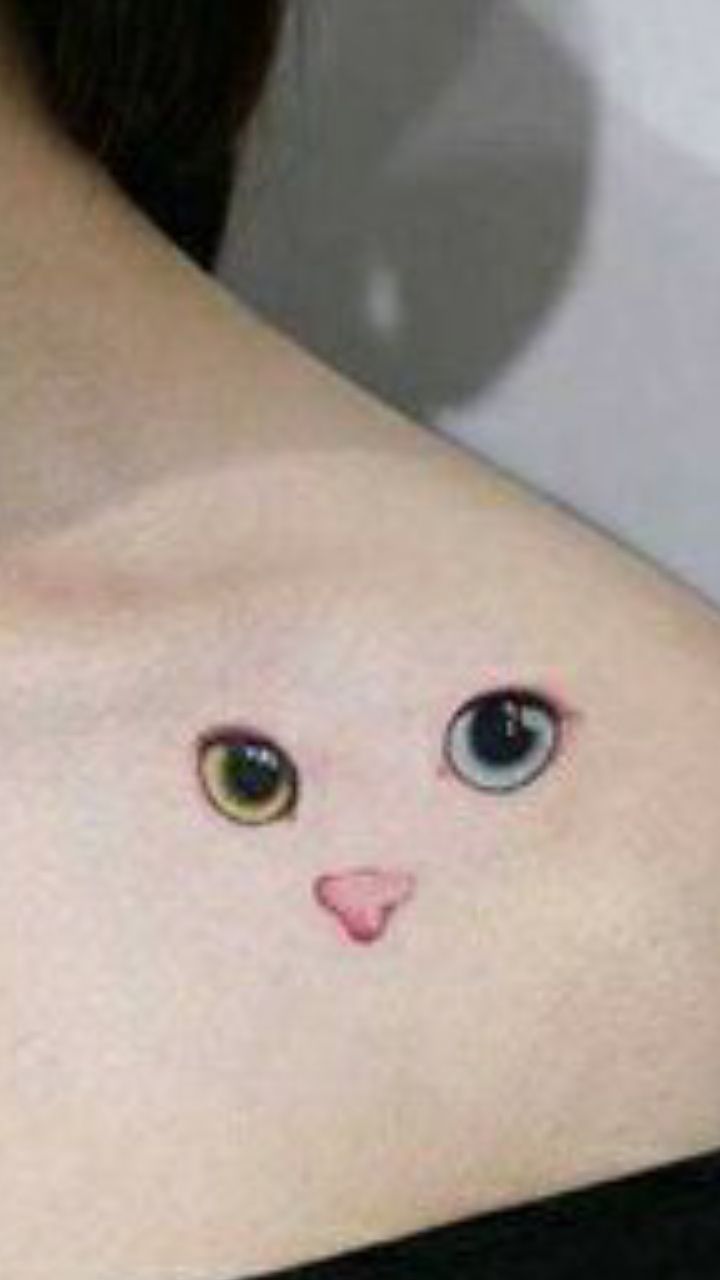 bob.the.cat OnlyFans profile picture