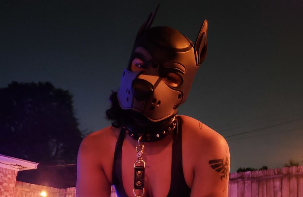 yeenpupbean OnlyFans profile picture