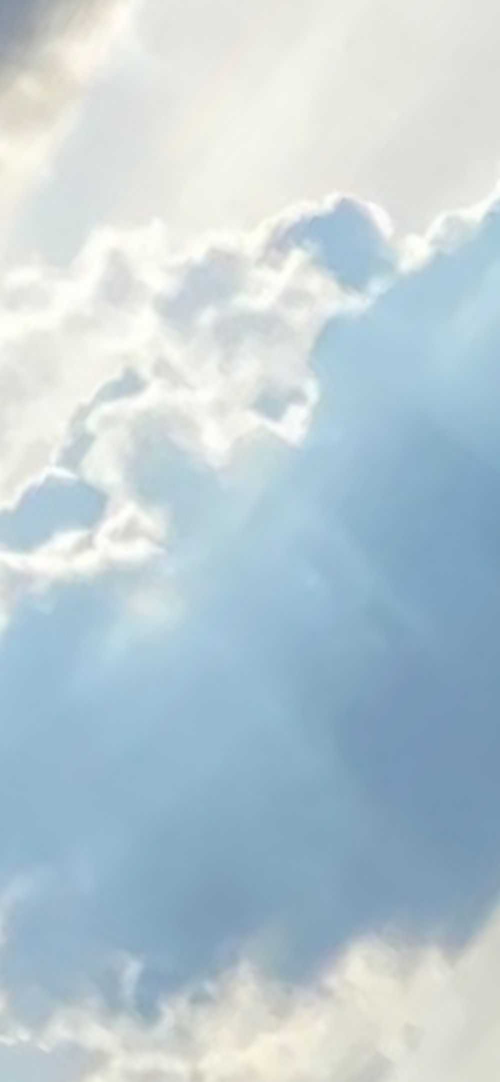 dearbvnny OnlyFans profile picture