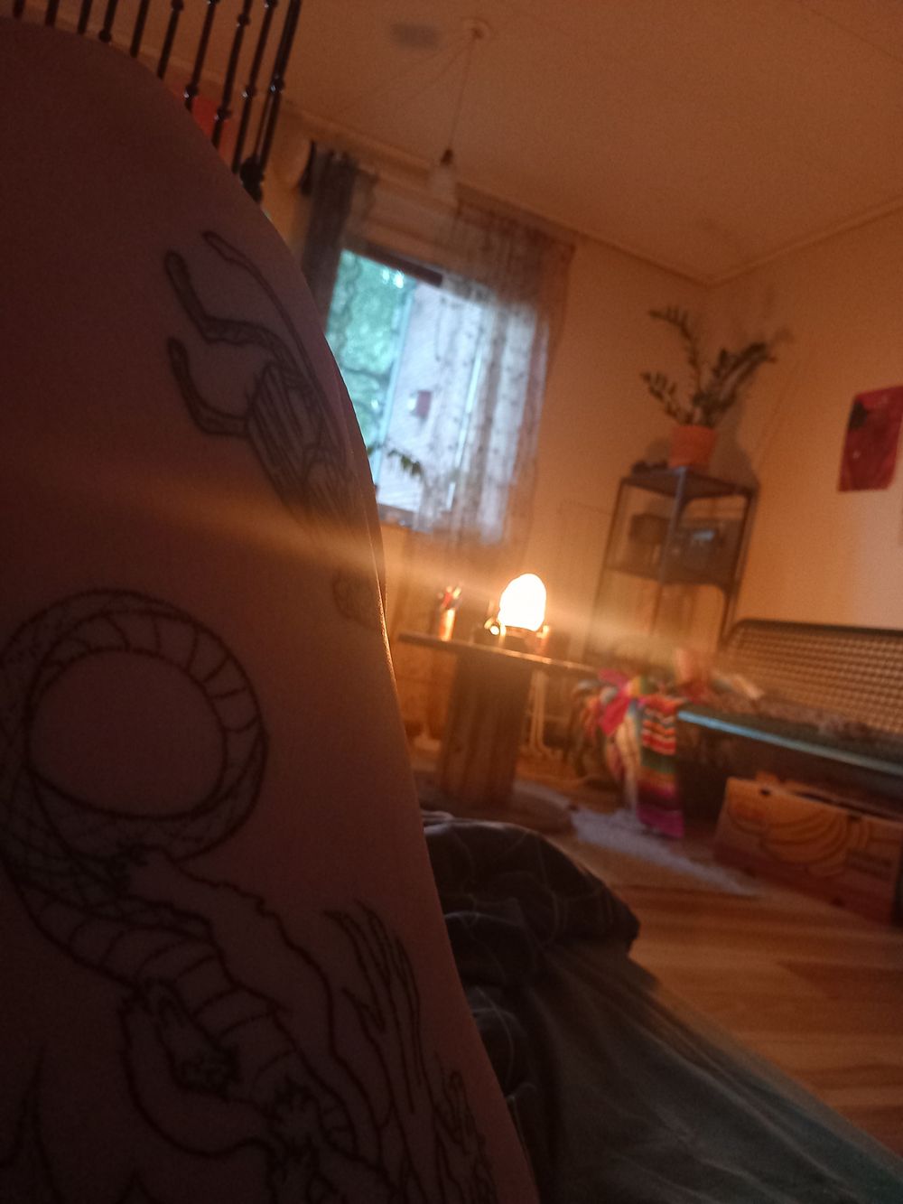drakenaken OnlyFans profile picture