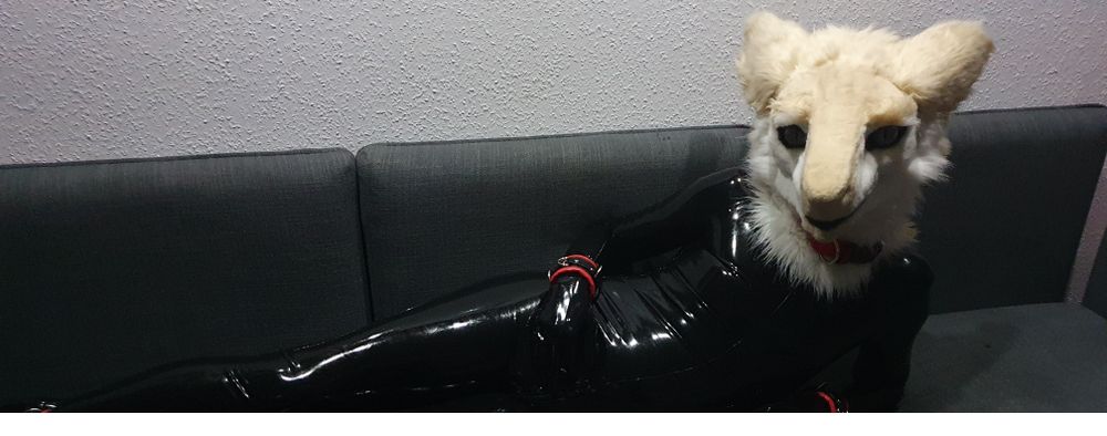 sergnderg OnlyFans profile picture