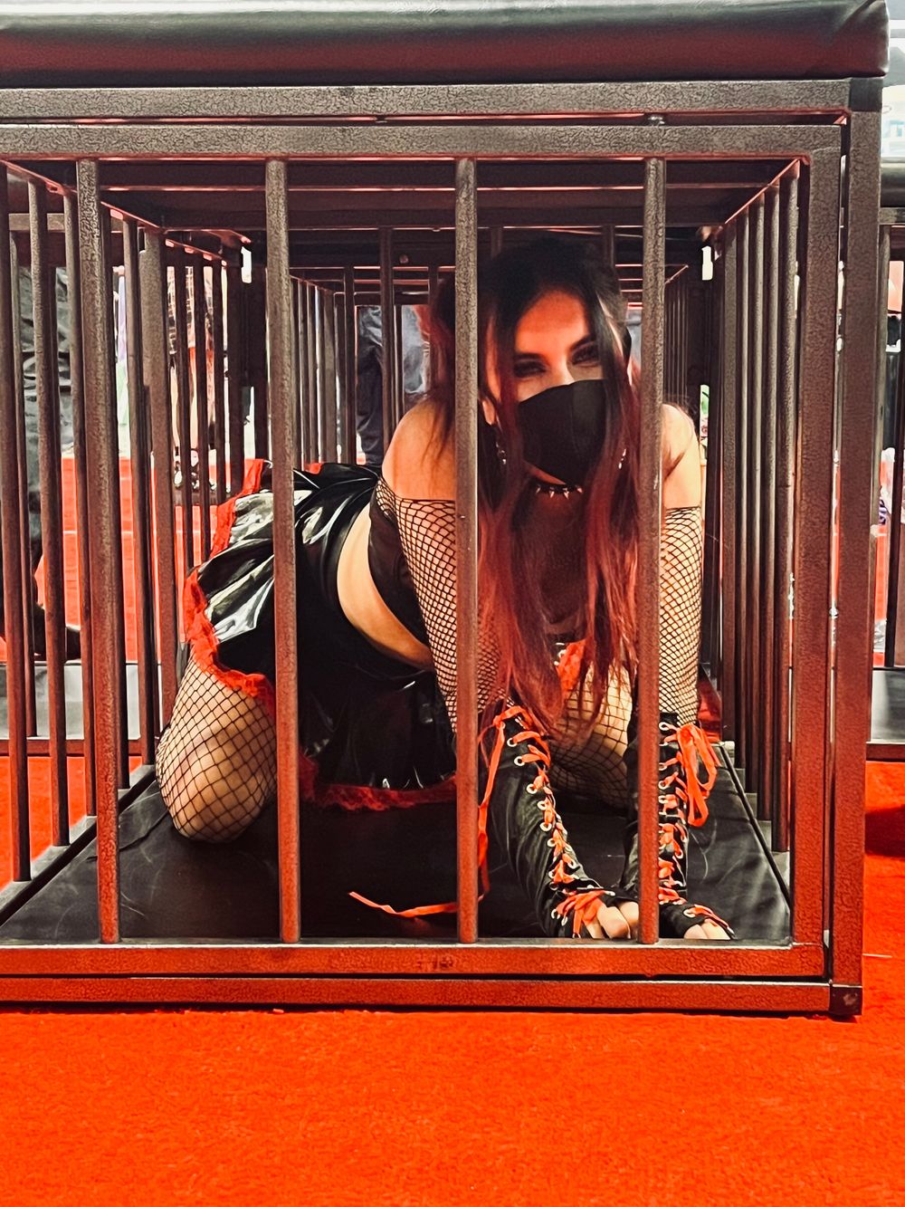 dominatetrixx OnlyFans profile picture