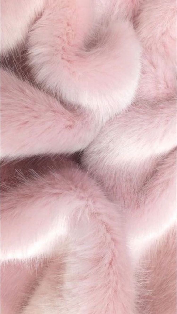 icy.xa OnlyFans profile picture