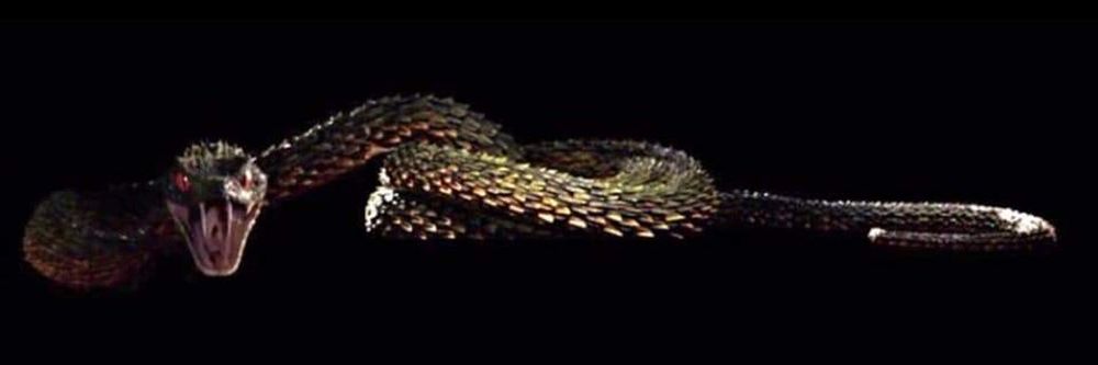 g.1989 OnlyFans profile picture