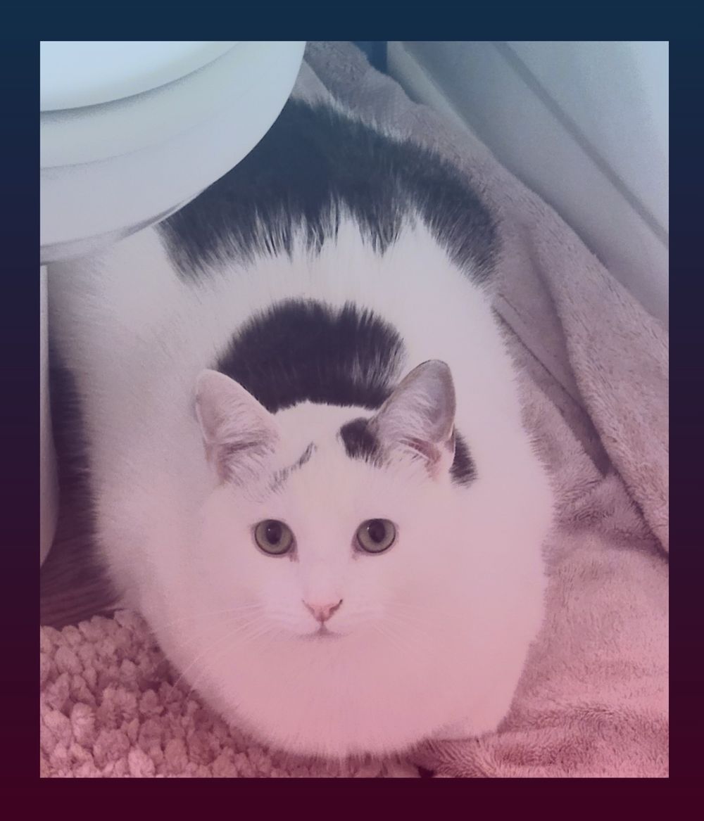 lydsoftiktok OnlyFans profile picture