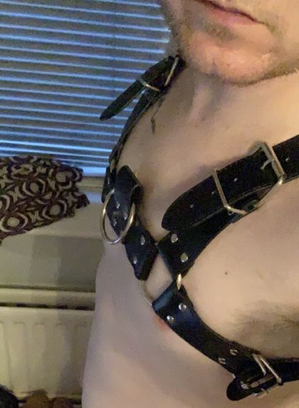 ottergeordie OnlyFans picture