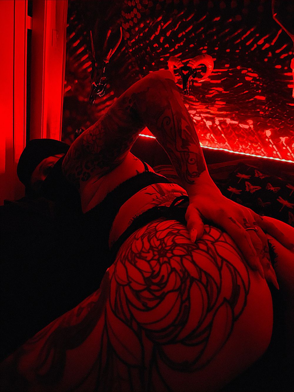 xppeach OnlyFans profile picture