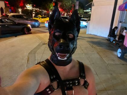 shadowpup1818 OnlyFans picture
